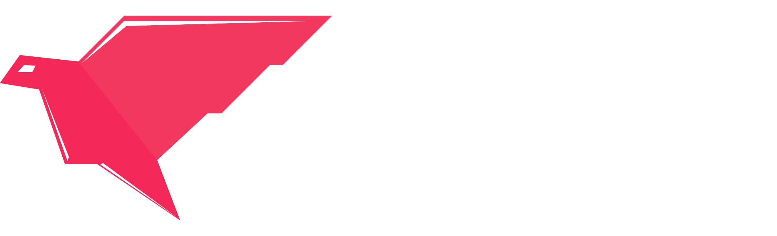 Raven Networks Logo